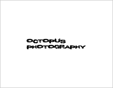 Octopus Photography